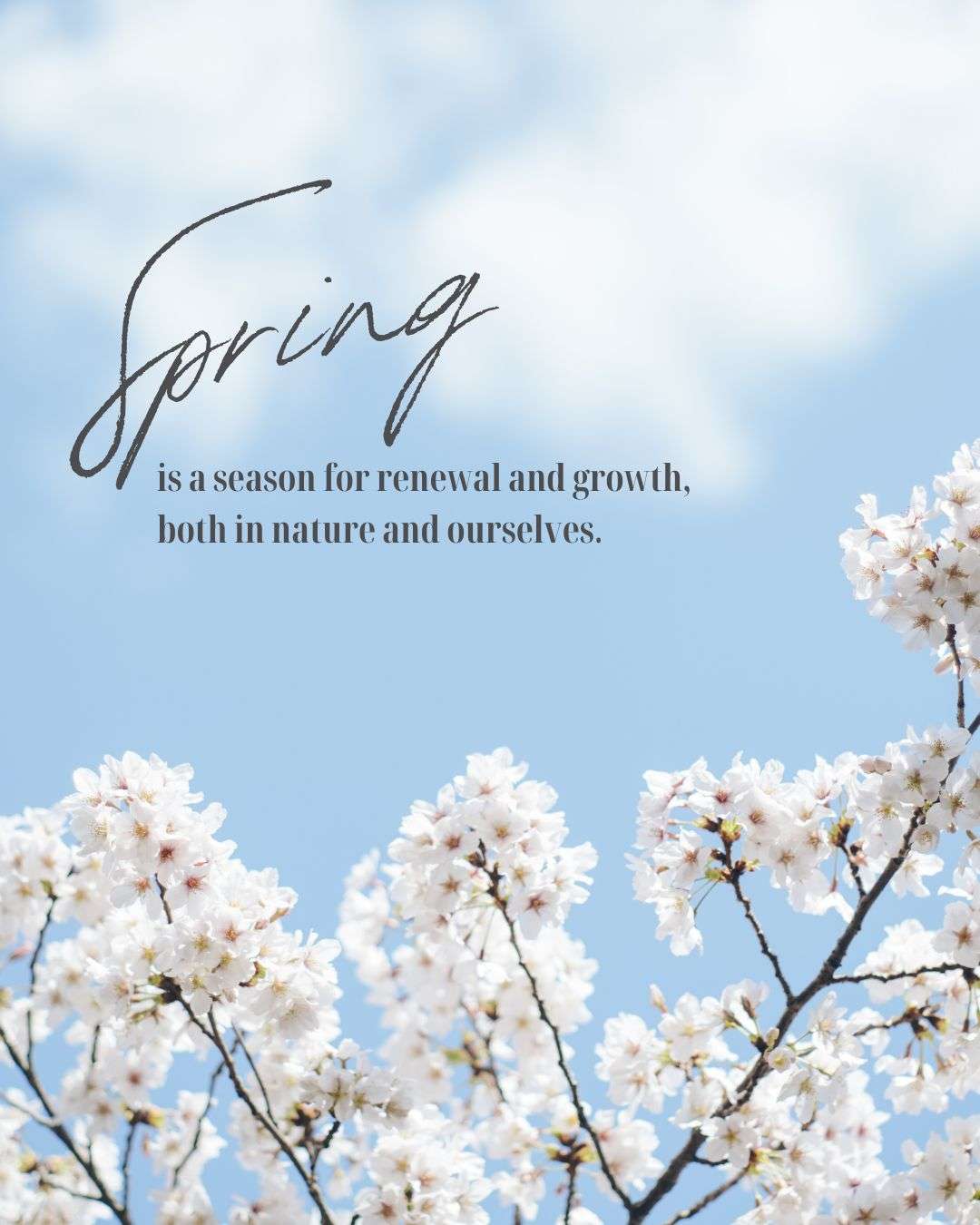 Spring Renewal: A Season of Growth and New Beginnings - Front Porch